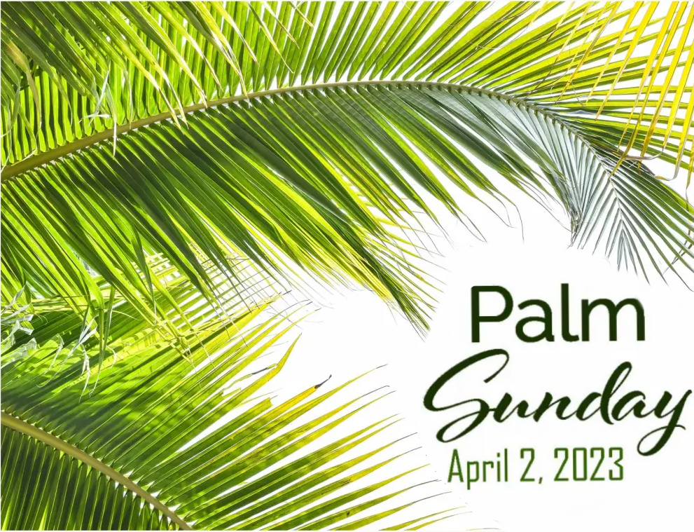 Palm Sunday 23